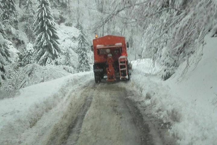 Viscolul aduce primele probleme în Caraș-Severin. Două localități au rămas fără electricitate