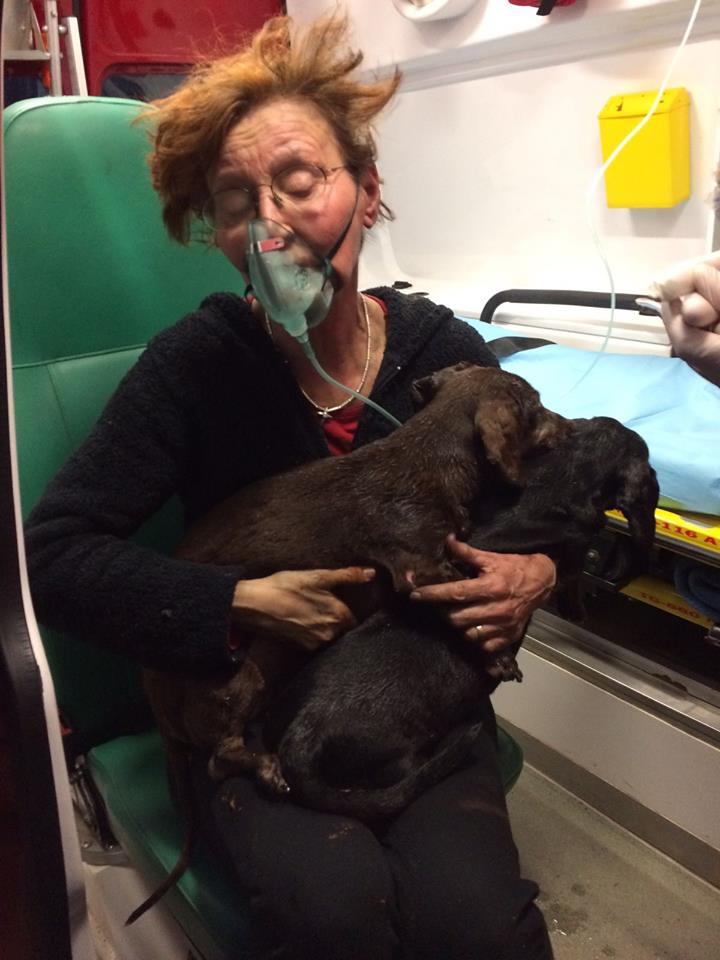Femeie salvată din flăcări de pompierii timișoreni împreună cu câinii și pisicile sale