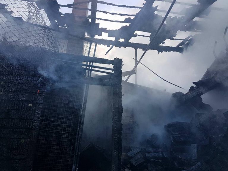 Acoperișul unei case din zona Lipovei a luat foc