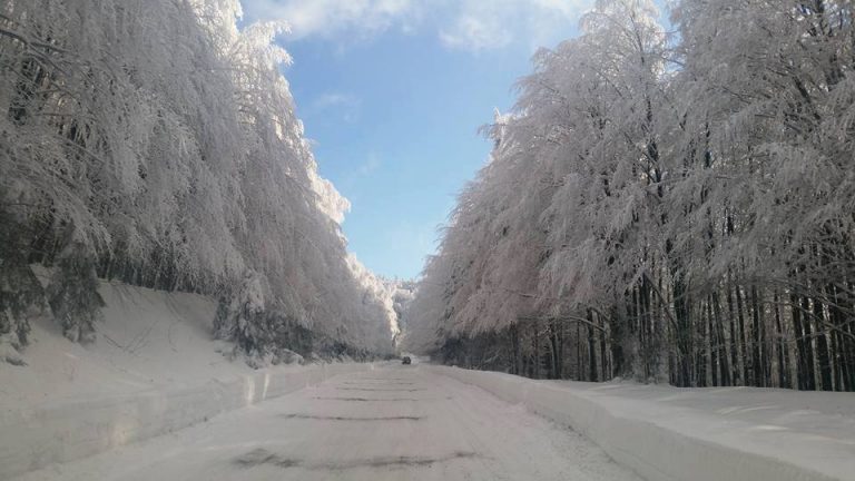 Vremea rea a blocat staţiunea Semenic! Drumul este închis traficului rutier