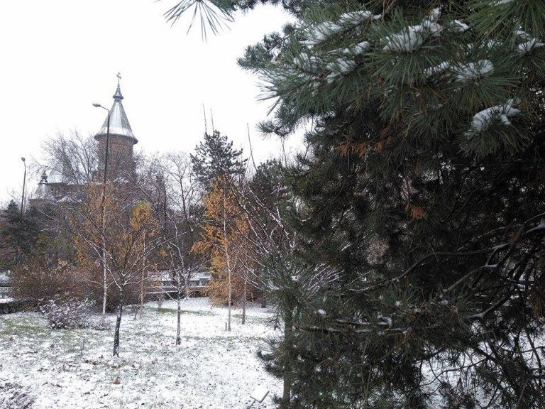 A venit prima ninsoare în Timişoara, bucuria copiilor şi necazul şoferilor