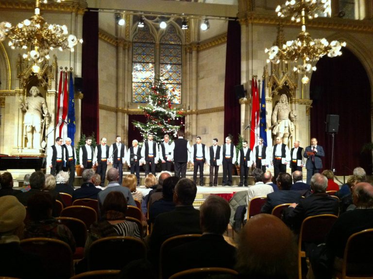 Artă la cel mai înalt nivel, într-o comună de la marginea Timișoarei FOTO-VIDEO