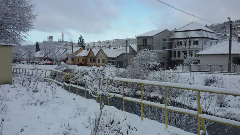 ”Să vină chinezii să planteze orez pe stradă!”: spun locuitorii unui oraș din Banat