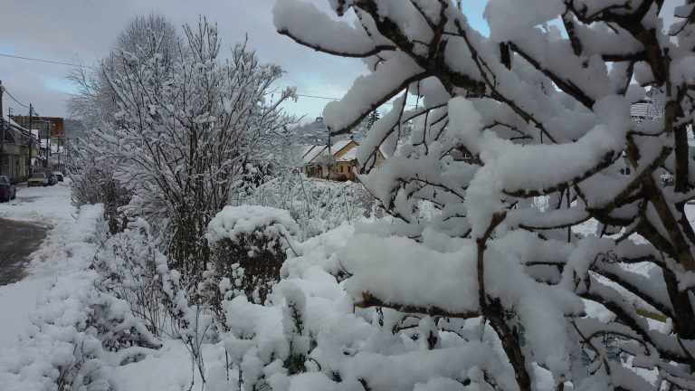 Vremea se încălzeşte uşor, încep ninsorile în Banat