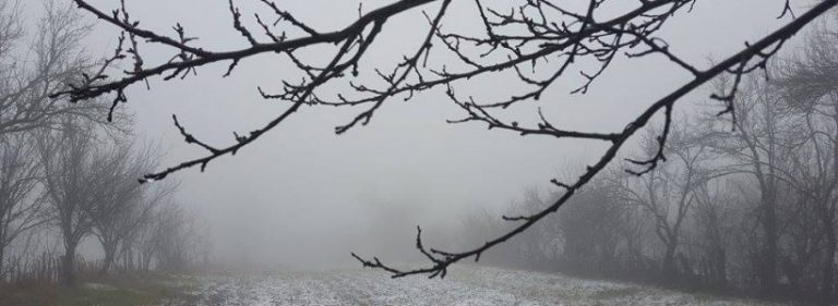 Ceață densă în Banat! Avertizarea meteorologilor
