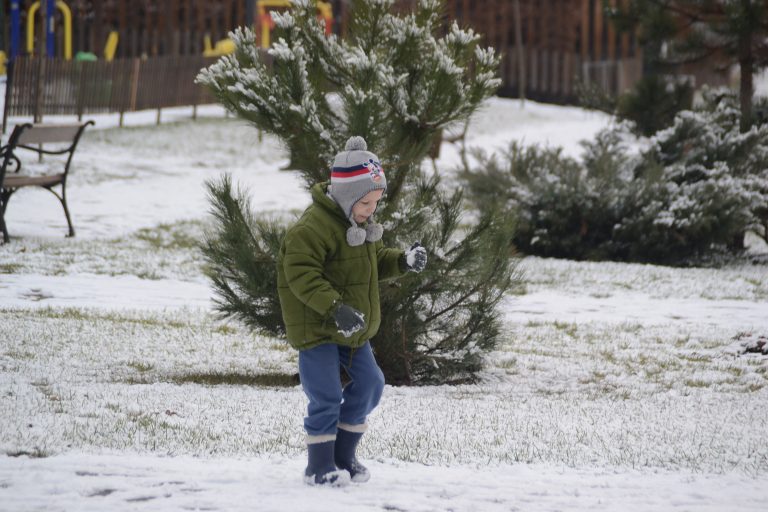 Iarna prin parcurile orașului. FOTO
