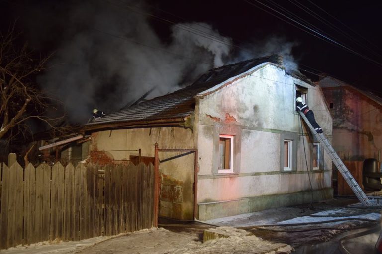 Pompierii timişoreni au salvat o casă şi… o pisică