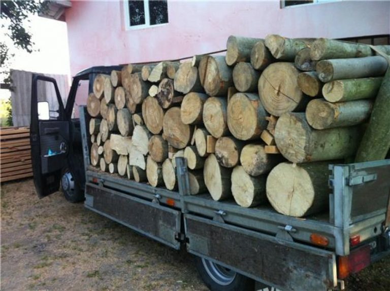 Nu se mai pot transporta lemne noaptea… ca hoții!