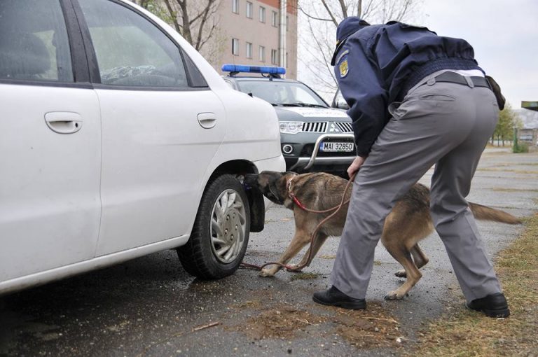 În lipsa paşaportului, minorii se ascund printre bagaje