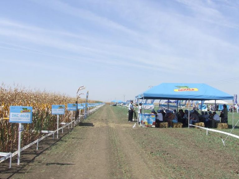 Vin banii pentru fermierii din Timiş!