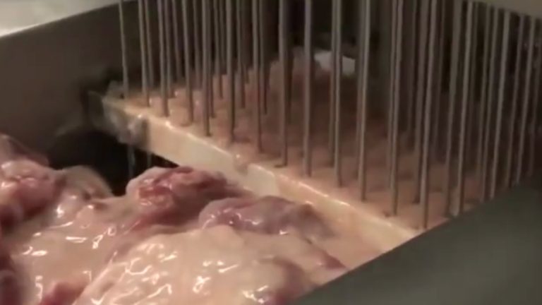 Cum și de ce se injectează carnea noastră, de consum-VIDEO