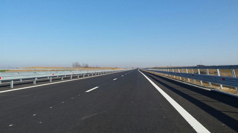 Apariție neașteptată pe autostrada Deva – Sibiu. Ce a văzut un șofer, prin parbriz. Video