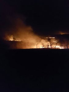 Incendii de vegetatie uscata 1