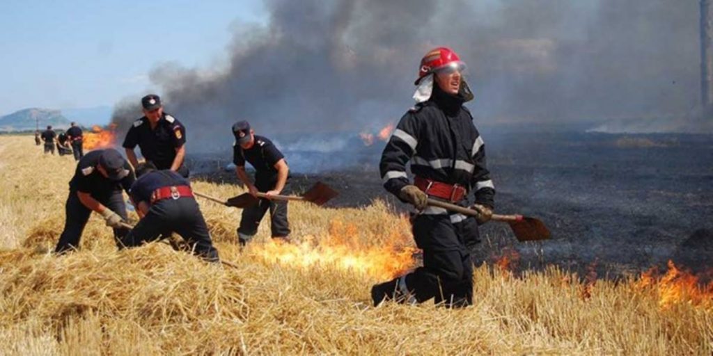 Incendii de vegetatie uscata