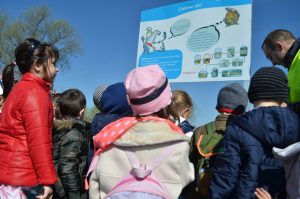 Porti deschise Beg 05