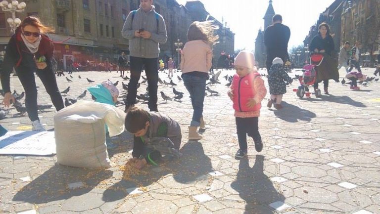 Amendă pentru hrănirea porumbeilor din centru. Timișorenii nu vor mai avea nevoie de acordul vecinilor pentru animale de companie