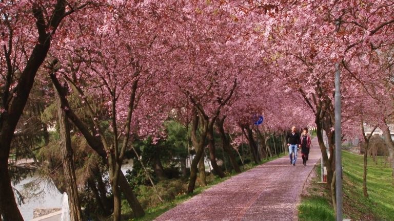 Se schimbă vremea de Paști? Iată prognoza pe următoarele zile