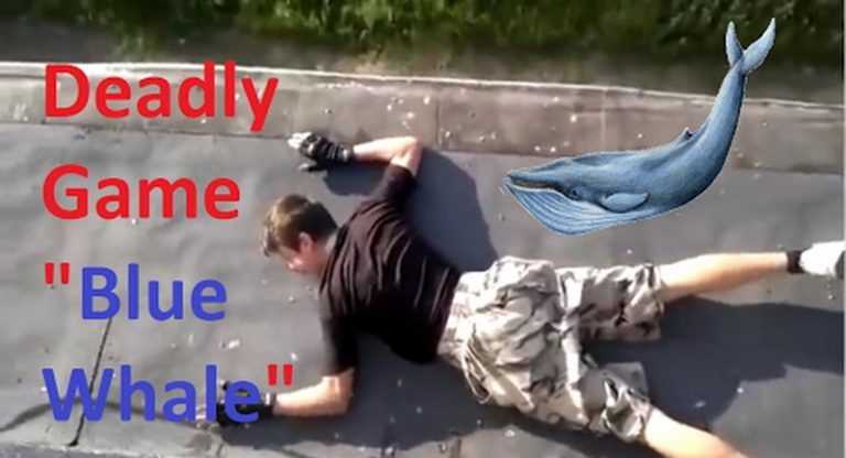 Polițiștii din Timiș ,,iau în piept” balena albastră!