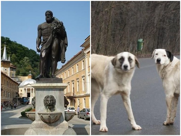 Ce-a ajuns ,,perla” turismului din Banat!