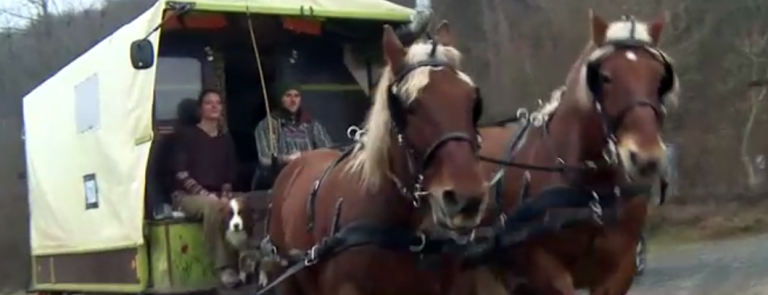 De nouă luni, cu căruța, prin Europa! Au trecut și prin Arad, în drum spre Sibiu  VIDEO