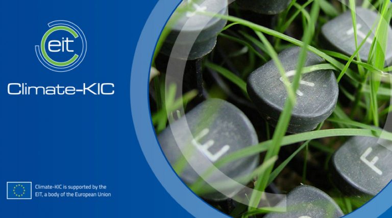 Mediul de afaceri din Timiș caută organizații-gazdă pentru pionieri internaționali