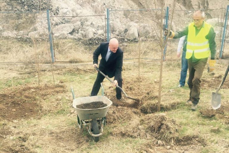 Perdea de copaci împotriva pulberilor de zgură, la Reșița
