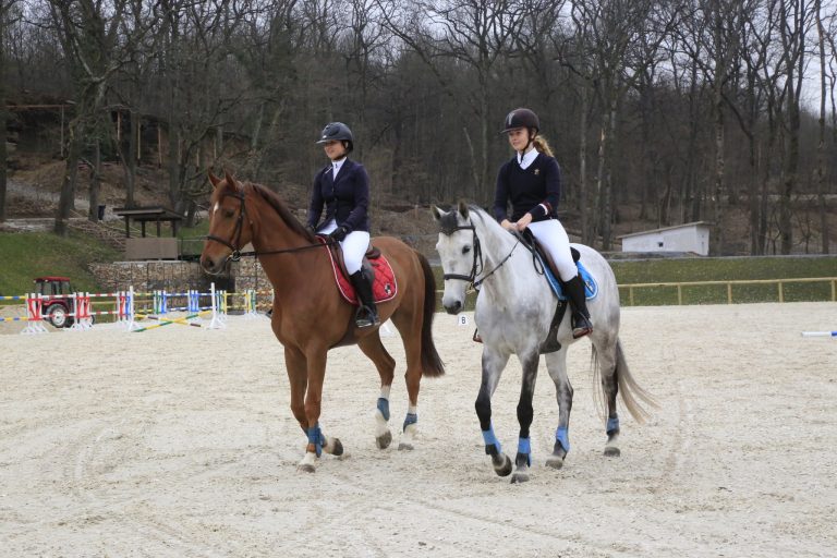 Omul şi calul un fenomen ecvestru în echitaţie