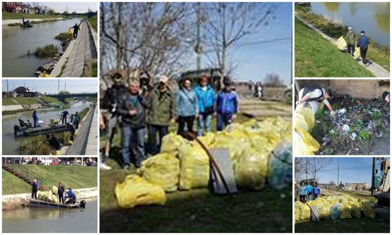 Munţi de gunoaie adunaţi de Poliţia Locală de pe malurile Begăi