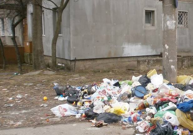 Rampe ilegale de gunoi în Timişoara – 300 de amenzi într-o lună