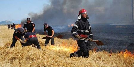 SALVO trage un semnal de alarmă: arderea miriştilor creşte numărul incendiilor
