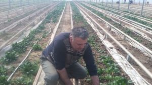 legumicultor-salaprd-cs-4