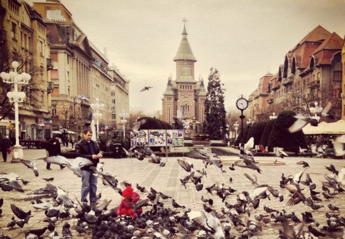 timisoara-piata-operei-victoriei-1024x709