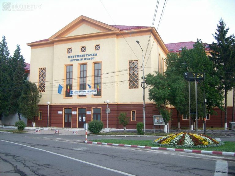 Universitatea „Eftimie Murgu” din Reșița, „curtată”  fără știrea ei