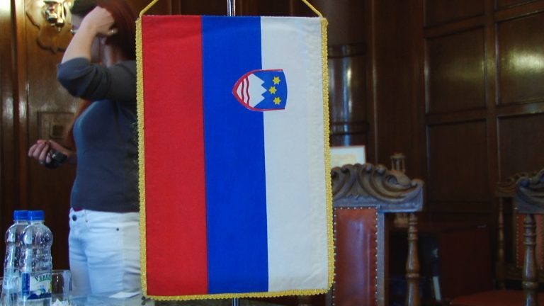 Oamenii de afaceri din Slovenia vor să investească în județul Timiș! VIDEO