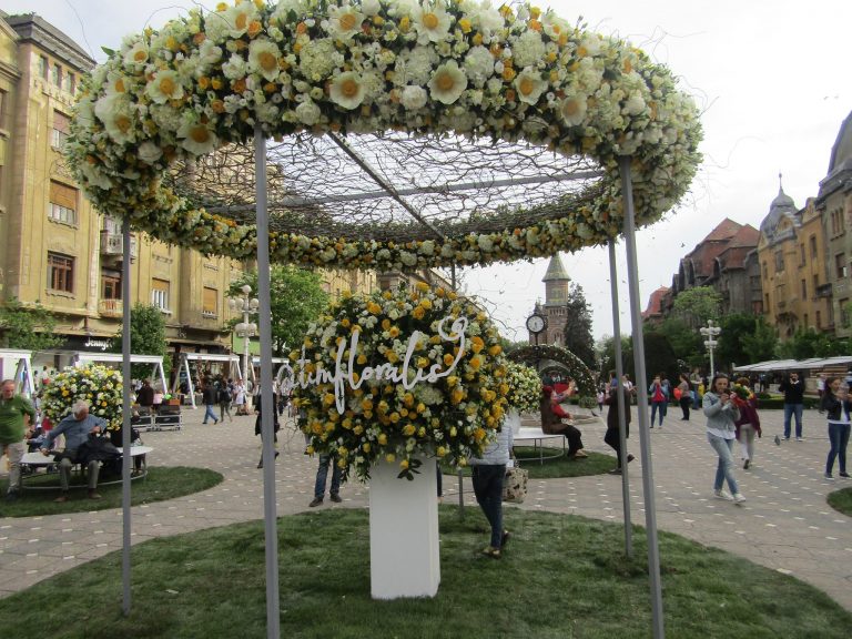 Timișoara își respectă blazonul! Centrul orașului a devenit ”împărăția” florilor…FOTO-VIDEO
