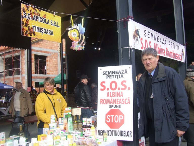 SOS albina! Stop pesticidelor ucigașe din agricultura din Timiș!