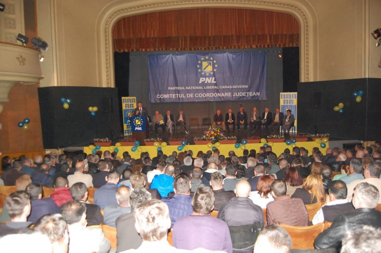 Alegeri cu scântei la PNL Caraș-Severin. Deputatul Valeria Schelean a părăsit sala