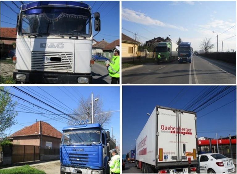 Camionagii, amendați la Timișoara!