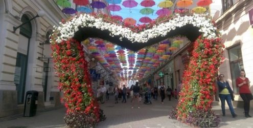 Florile vor invada din nou Timișoara! A început numărătoarea inversă pentru o nouă ediție Timfloralis