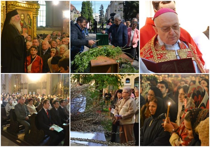 florii-timisoara-colaj