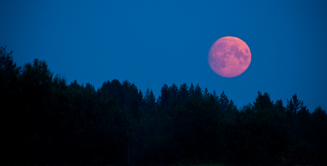 Luna plină ROZ – fenomenul astronomic pe care îl vom vedea în această noapte! Cum ne influenţează?