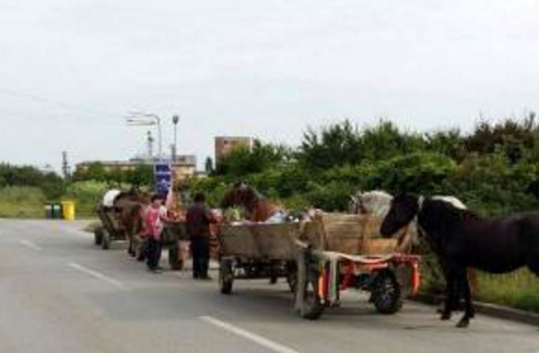 Popoarele migratoare din Timișoara! Nomazii care circulă cu căruțe și trăiesc în corturi, fugăriți din oraș