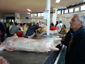 piata carne miel (12)