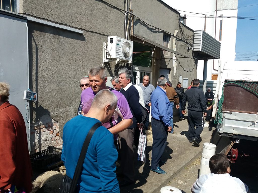 piata carne miel (27)