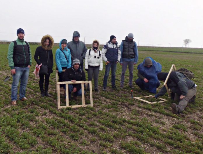 practica-studenti-agronomie