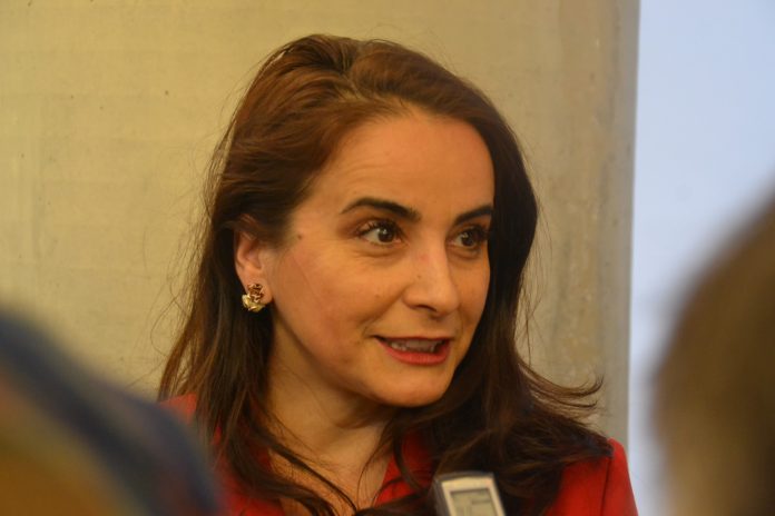 rotary capitala culturala simona neumann(12)