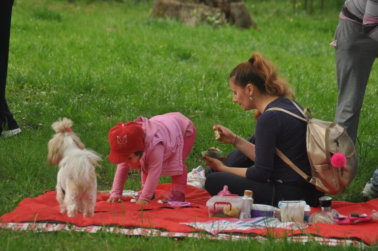 Timişoara serbează 1 Mai doar cu picnic, nu şi cu grătare. Amenzi mari pentru cei care nu se conformează