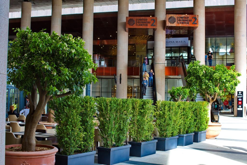 Amenajari peisagistice Iulius Mall 2