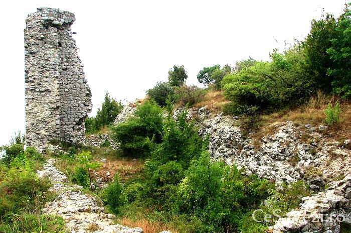 Malurile Dunării au o istorie aparte: cetăţi, biserici, mănăstiri. Istoria ruinelor Cetăţii Sf. Ladislau