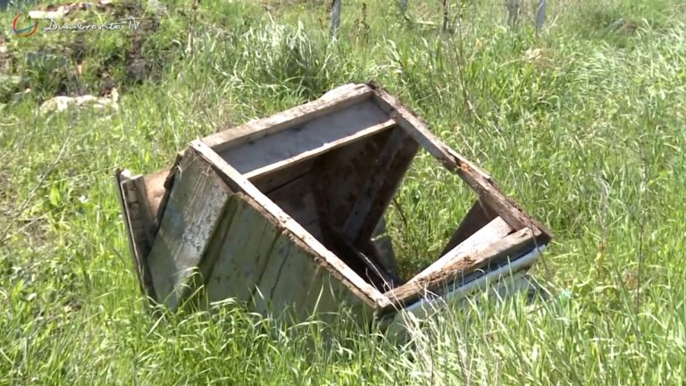 Dumbrăvițenii sunt așteptați să participe activ la proiectul Tidyșoara! VIDEO